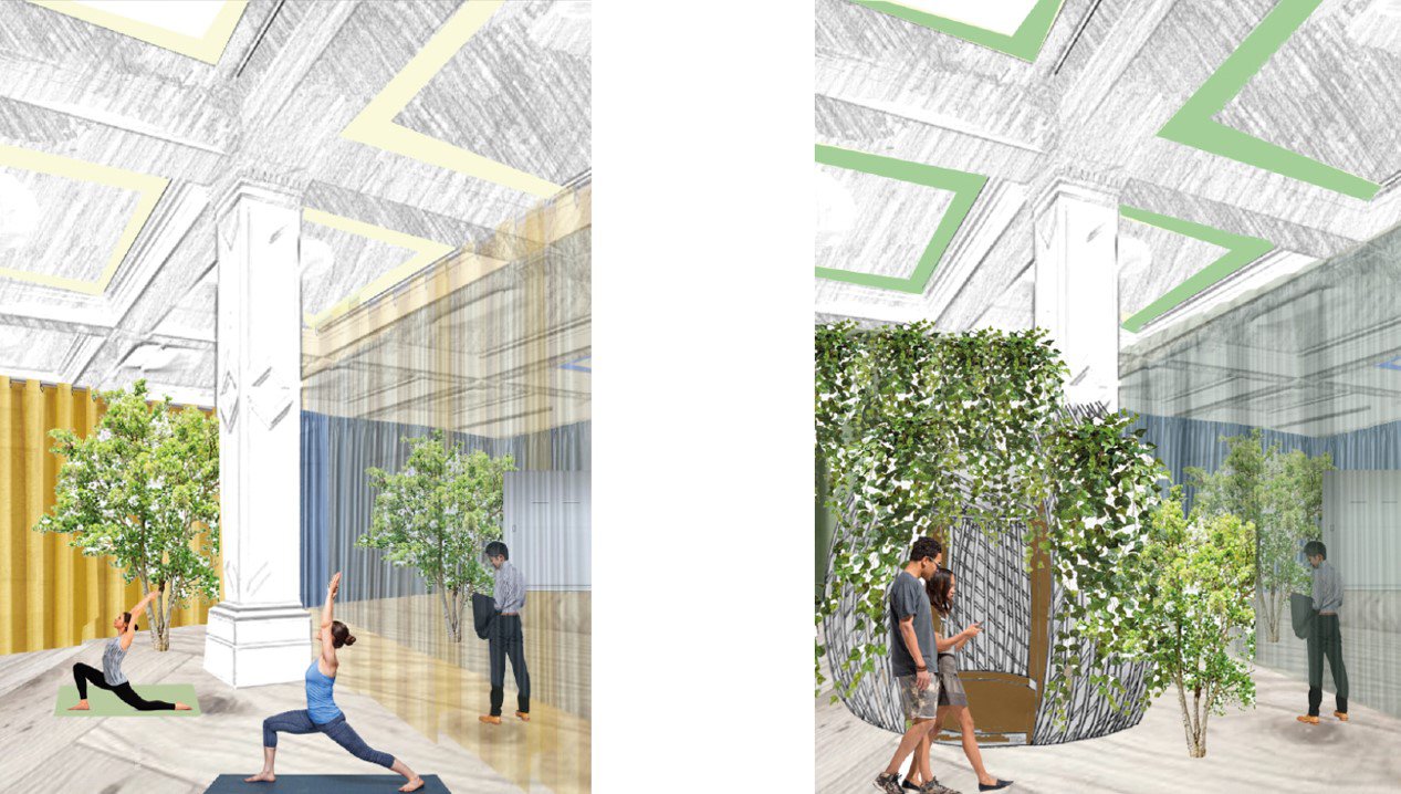 Internal gallery view showing yoga class and biophilic environment