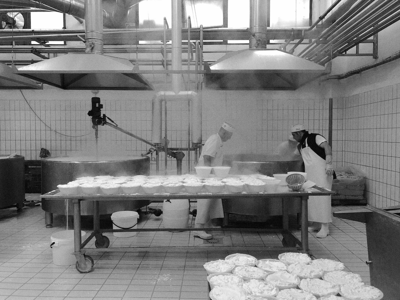 14. The Modern Cheese Industry.jpg