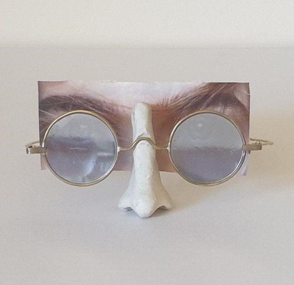 Glasses with smoky lenses