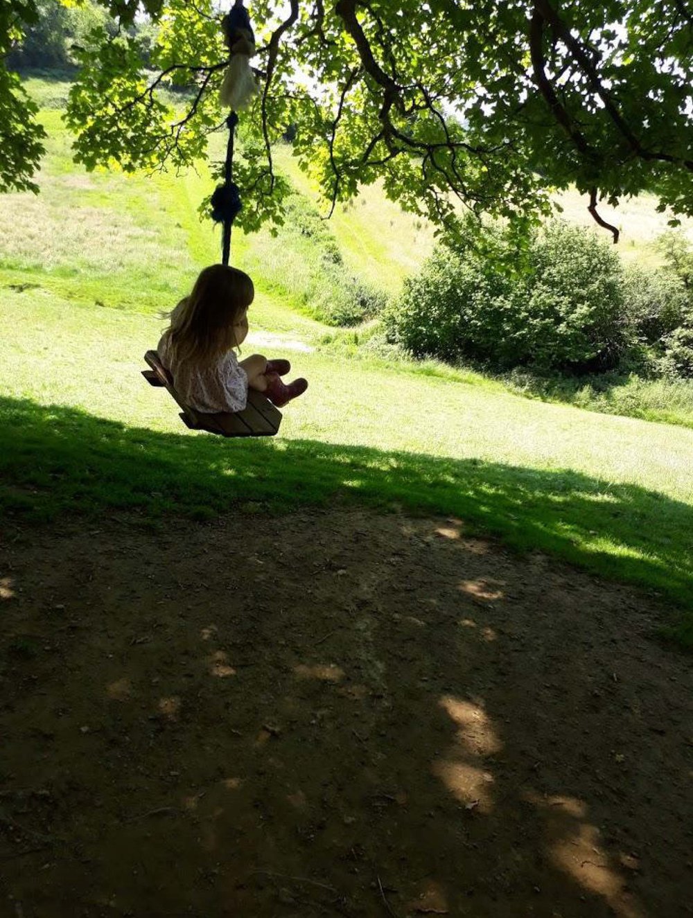 A girl is on a swing hanging from a tree branch