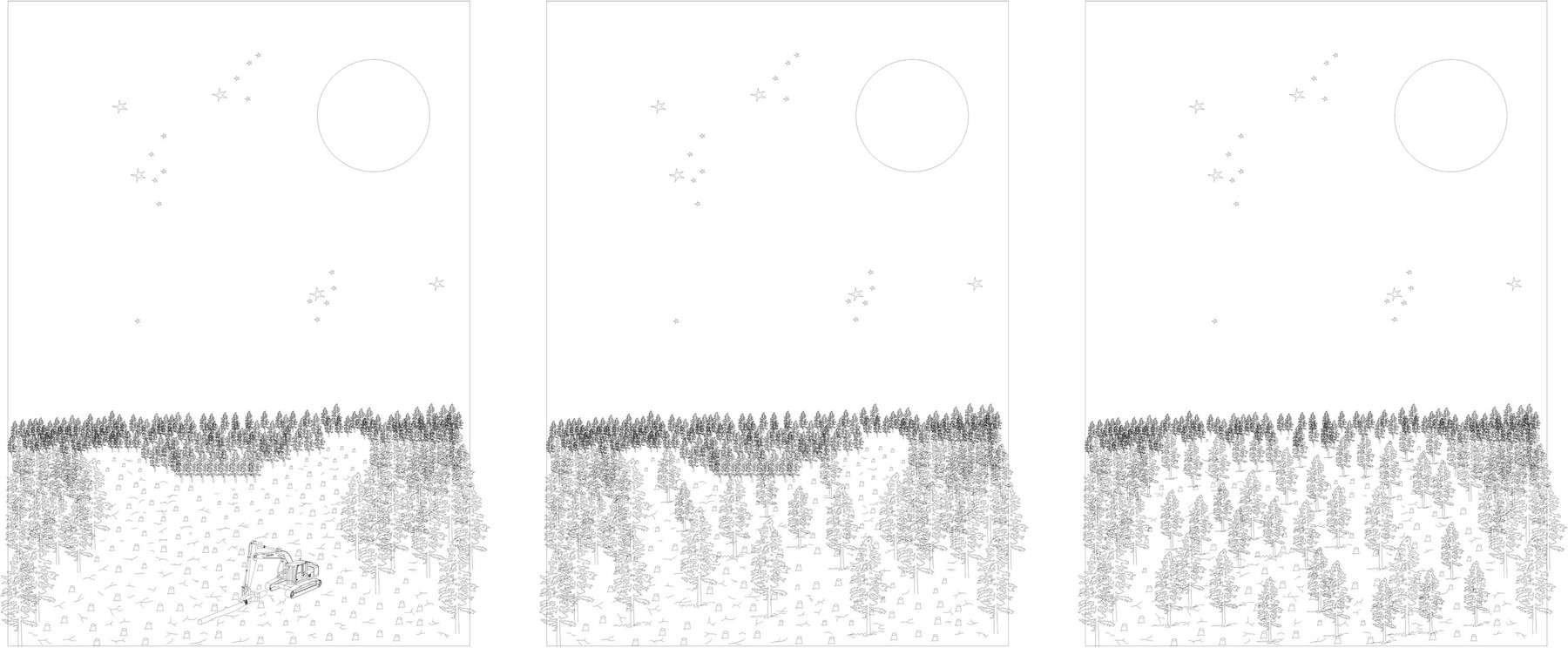Morgan Davies, Harvesting Diagrams, The forms of timber harvesting have a serious impact on the landscape we see, here 3 examples highlight the movement from clear cut to seeding.jpg
