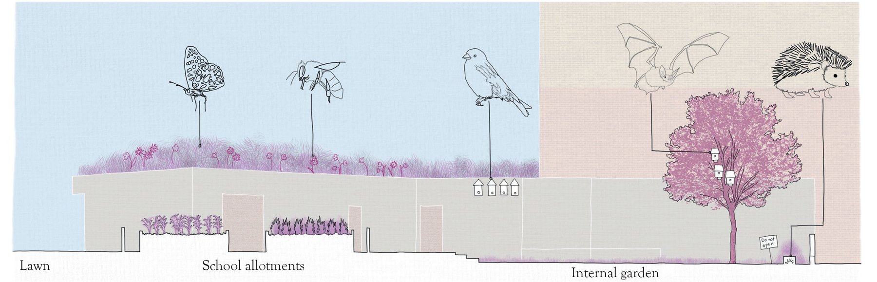 Building elevation showing habitat boxes for wildlife.jpg